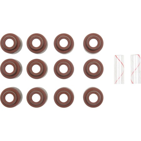 Reinz Engine Valve Stem Oil Seal Set, 12-10240-01 12-10240-01